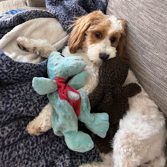 Meet your Posher, Stefanie - Picture 1 of 9